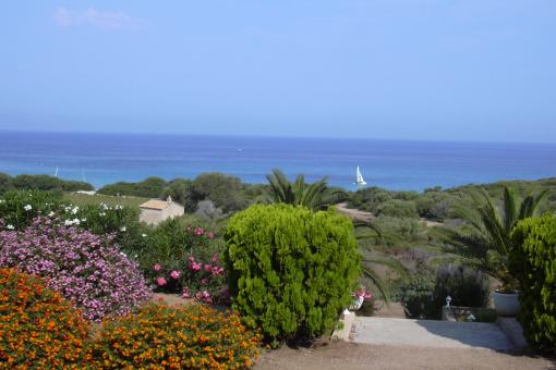 location vacances Ile rousse